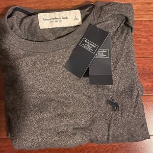 NWT ABERCROMBIE AND FITCH T SHIRT SIZE LARGE